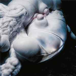 Björk - Arisen My Senses FLAC