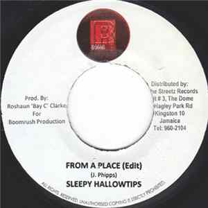 Sleepy Hallowtips - From A Place FLAC