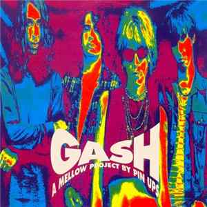 Pin Ups - Gash FLAC