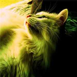Skullflower - Stormfront FLAC