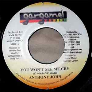 Anthony John - You Won't See Me Cry FLAC