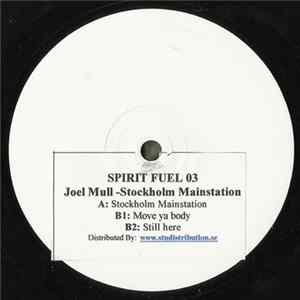 Joel Mull - Stockholm Mainstation FLAC