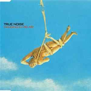 True Noise - Hanging in Mid Air FLAC