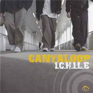 Cantaloop - I.C.H.I.L.E FLAC