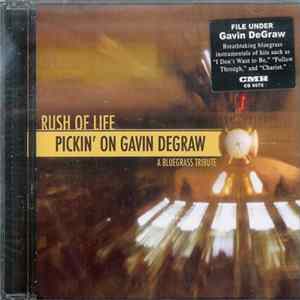 Various - Rush Of Life - Pickin' On Gavin DeGraw - A Bluegrass Tribute FLAC