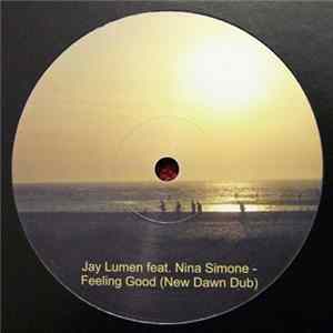 Jay Lumen Feat. Nina Simone - Feeling Good FLAC