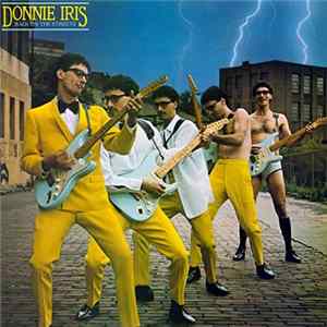 Donnie Iris - Back On The Streets FLAC