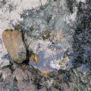Martin Franklin - Sommeil Audio FLAC
