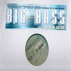 Big Bass vs. Michelle Narine - What You Do FLAC