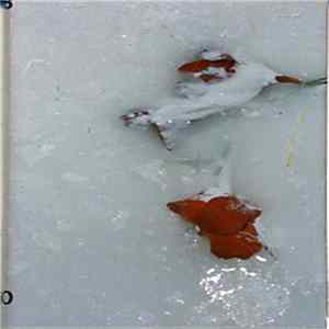 Various - Praestitu Lugubre FLAC