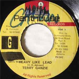 Terry Ganzie - Heavy Like Lead FLAC