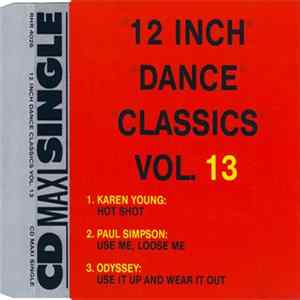 Various - 12 Inch Dance Classics Vol. 13 FLAC