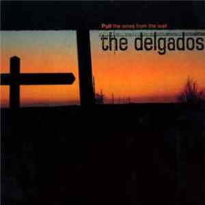 The Delgados - Pull The Wires From The Wall FLAC