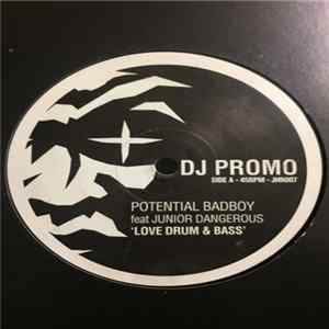Potential Bad Boy - Love Drum & Bass FLAC
