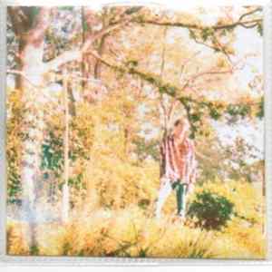 Atlas Sound - Walkabout FLAC