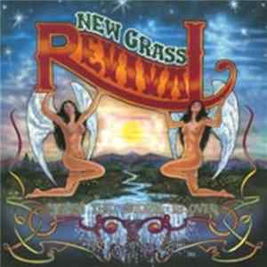New Grass Revival - When The Storm Is Over FLAC