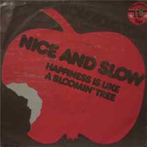 Soundation - Nice And Slow FLAC