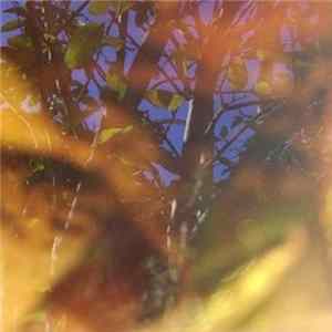 Wild Roses Grow - Iceland FLAC