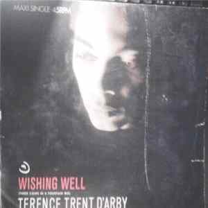Terence Trent D'Arby - Wishing Well FLAC