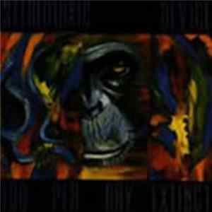 Stereotaxic Device - 100 Per Day Extinct FLAC
