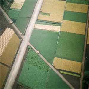 Celer - Perfectly Beneath Us FLAC