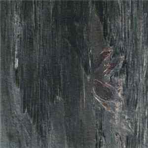 The Infant Cycle - Ephedrin Bird Samba FLAC