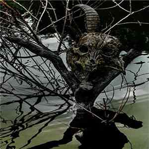 The GazettE - The Gazette Tour 13-14 ［Magnificent Malformed Box］Final Coda Live At 01.11 Yokohama Arena FLAC