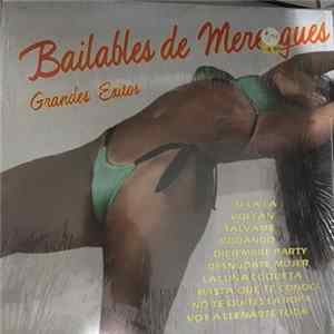 Santo Domingo All Star Band - Bailables de Merengues Grandes Exitos FLAC
