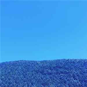 Gallery Six - Under The Sun FLAC
