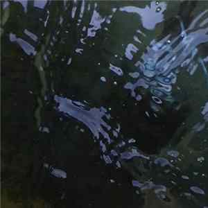 Forest Management - Channels Of Obscurity FLAC