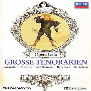 Various - Grosse Tenorarien FLAC