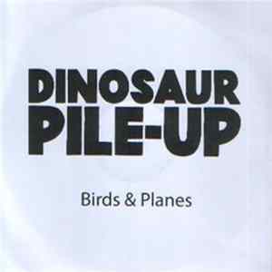 Dinosaur Pile-Up - Birds & Planes FLAC