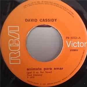 David Cassidy - Animate Para Amar FLAC