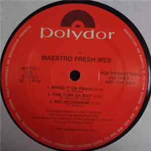 Maestro Fresh Wes - "Naaah, Dis Kid Can't Be From Canada?!!" FLAC