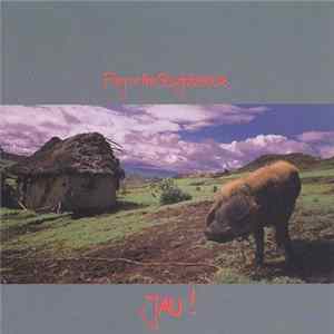 Fury In The Slaughterhouse - Jau! FLAC