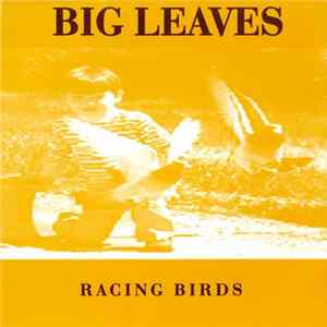 Big Leaves - Racing Birds FLAC