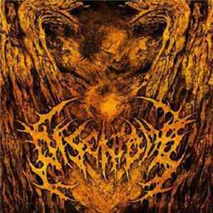 Disentomb - 2009 Promo FLAC