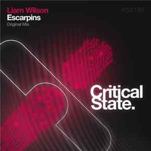 Liam Wilson - Escarpins FLAC