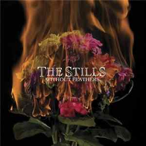 The Stills - Without Feathers FLAC