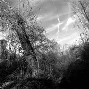 Harvey Milk - A Small Turn Of Human Kindness FLAC