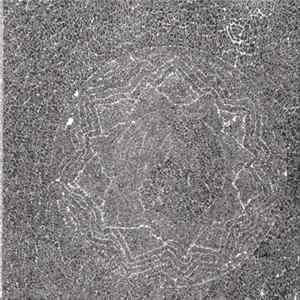 Terry Riley - Poppy Nogood And The Phantom Band "All Night Flight" Vol.1 FLAC