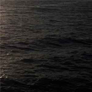 Borejko - Kymatology: Audio Samples From The Field FLAC