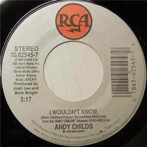 Andy Childs - I Wouldn't Know FLAC