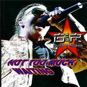 Guns N' Roses - Not Too Much Waiting FLAC