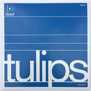 Maston - Tulips FLAC