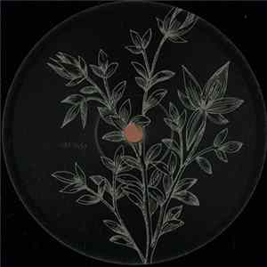 Calli / Pagalve - Reverse Stories FLAC