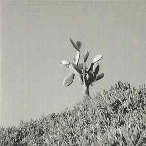 Sylvain Chauveau & Ensemble Nocturne - Down To The Bone (An Acoustic Tribute To Depeche Mode) FLAC