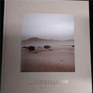 Wildernessking - Mystical Future FLAC