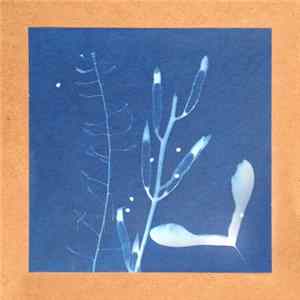 offthesky, Pillow Garden - Fable Of Silence And Selah FLAC