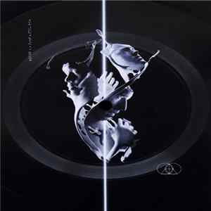 The Glitch Mob, Tula - How Could This Be Wrong (feat. Tula)(Preview) FLAC